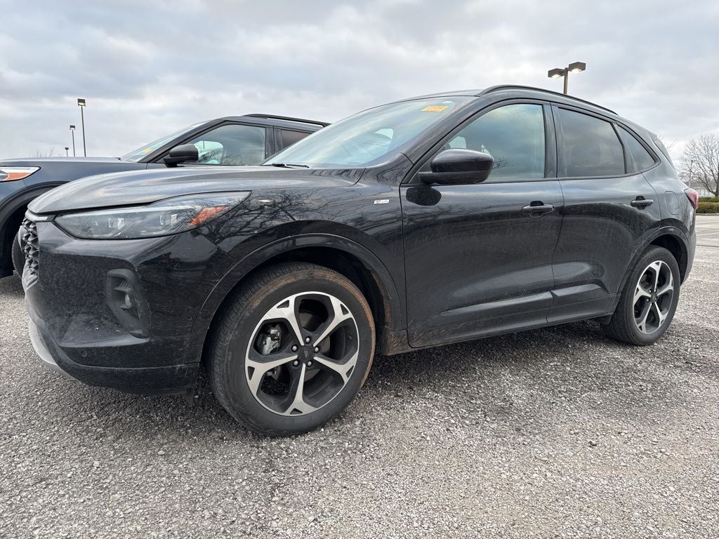 2024 Ford Escape ST-Line Elite
